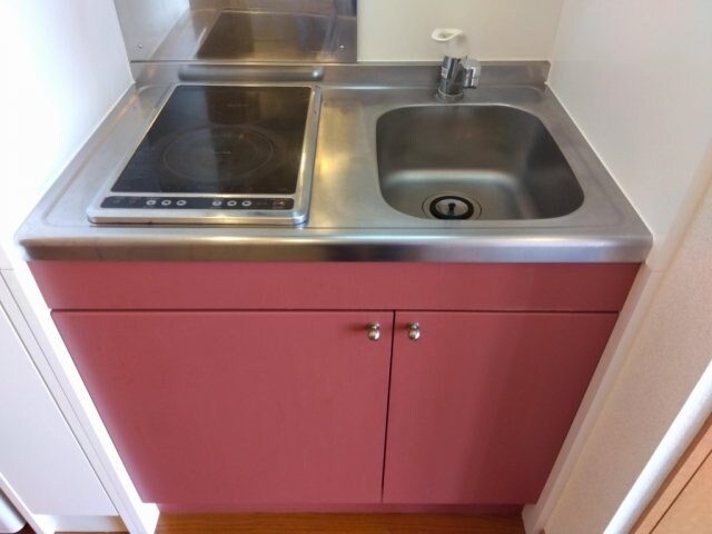  レオパレスクリスマスローズ