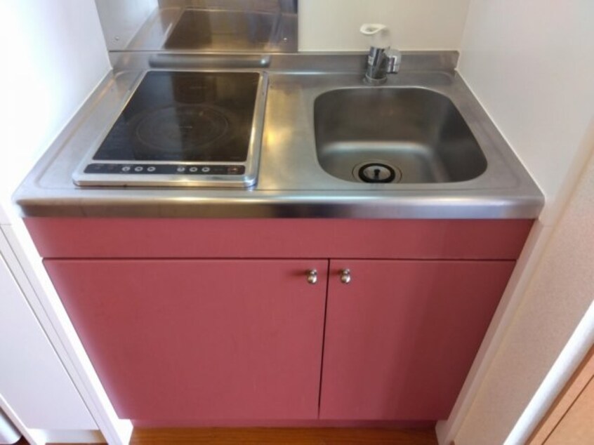  レオパレスクリスマスローズ