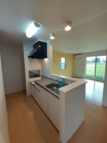  サンパラソルＤ