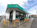 ザグザグ松縄店さんまで1300m ニューエルディム伏石
