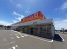 ダイレックス木太店さんまで450m デイ　ドリーム
