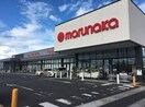 マルナカ 林店(スーパー)まで803m ジーニアス木太