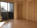室内 カンパニュラ