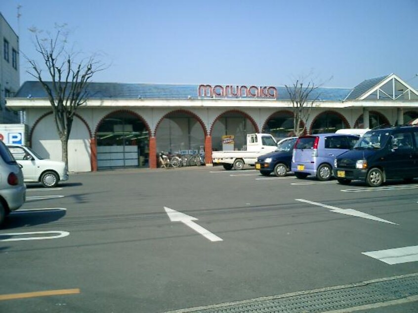 マルナカ鬼無店まで838ｍ カンパニュラ