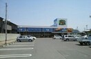 コープ香西店さんまで1650m サン　マーベラス　Ａ