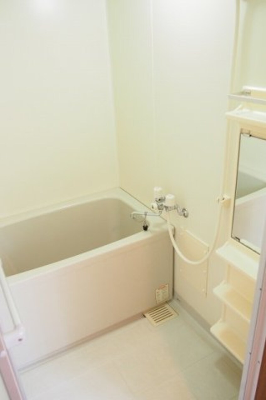  ヴァーナル・エース