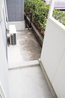  ヴァーナル・エース