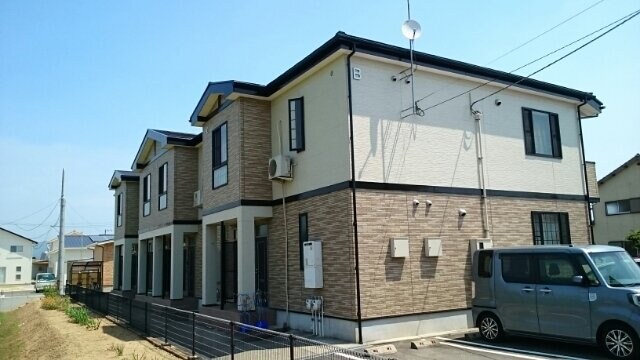  サンフラワー　Ｂ