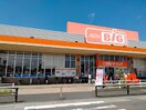 ザ・ビッグ 丸亀城南店(スーパー)まで1487m ララ・オハナ　Ⅱ