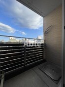  コリドールエスエフ