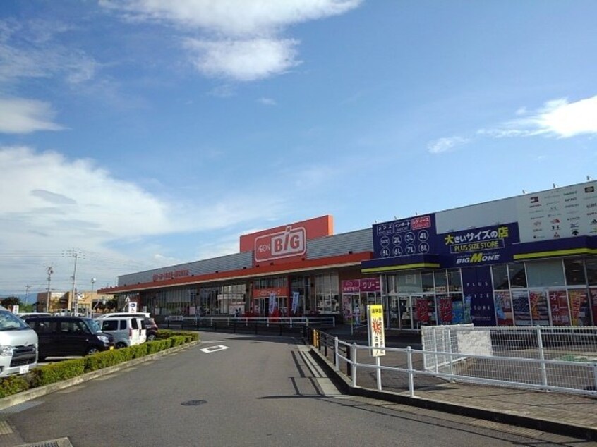 ザ・ビッグ丸亀城南店まで1200m ボヌール柞原Ａ