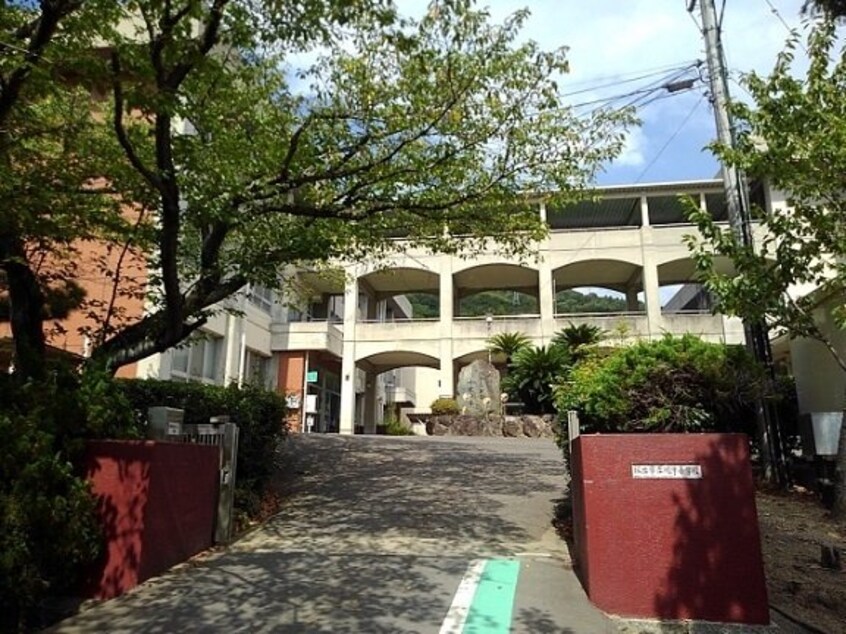 坂出市立川津小学校まで1500m アムール幸　Ａ