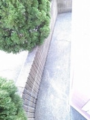  アムール幸　Ａ