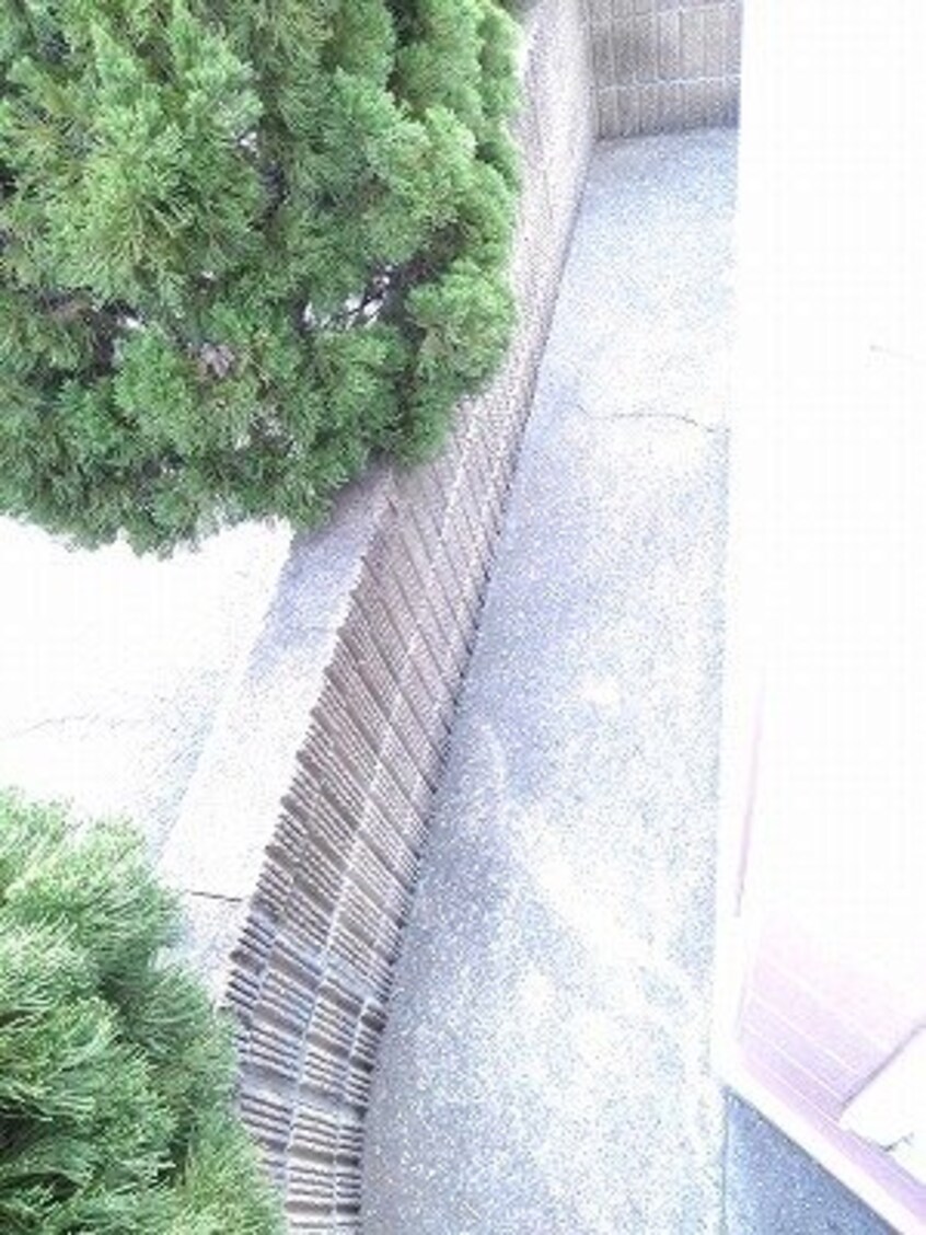  アムール幸　Ａ