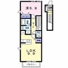 カリーノ 1LDKの間取り