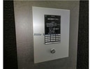  Blanc Bonheur N14　ブランボヌールN14