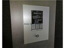  Blanc Bonheur N14　ブランボヌールN14