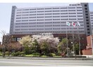 札幌市東区役所(役所)まで1155m アルシオーネN4
