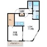 Alta Marea桑園　アルタマレーア桑園 1LDKの間取り