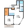 Alta Marea桑園　アルタマレーア桑園 1LDKの間取り