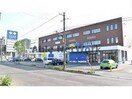 サツドラ北12条店(ドラッグストア)まで451m ディモーラN12