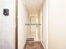  Luana N38　ルアーナ