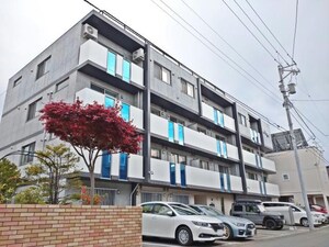 moltiy27 モルティ27