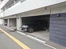  レガーレノルド