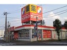 サンドラッグ北二十条店(ドラッグストア)まで540m ボヌールN16