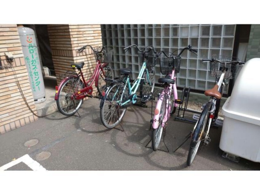  プリムローズ235