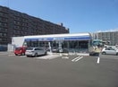 ローソン札幌北25西十六丁目店(コンビニ)まで485m エミアス