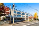 札幌市立新陽小学校(小学校)まで679m エミアス
