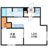 Concerto N13W15　コンチェルト 1LDKの間取り