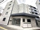  R-fino N17　アールフィーノN17