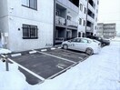  R-fino N17　アールフィーノN17
