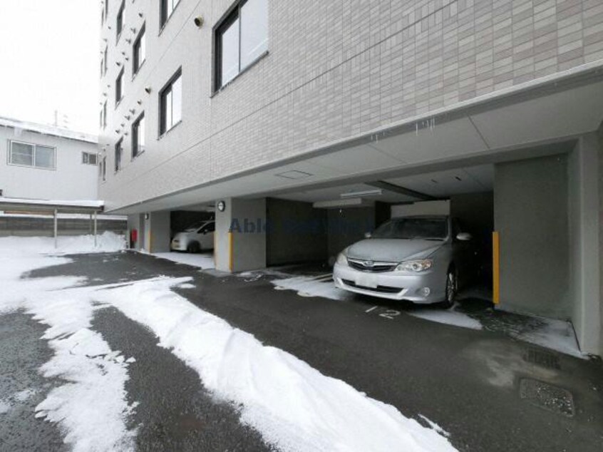  マイスターシャーレ桑園