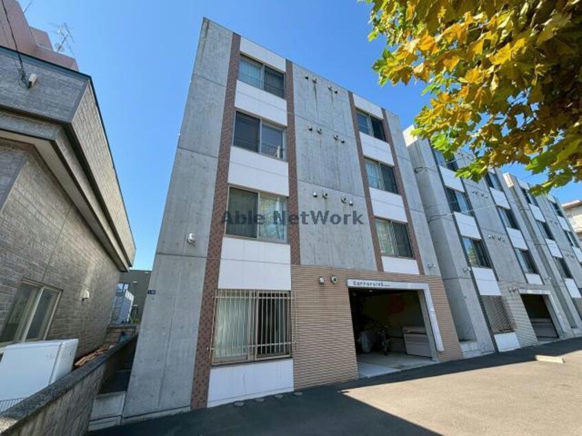  Carrera146　カレラ146