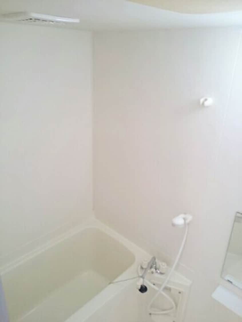  エバ－グリ－ン