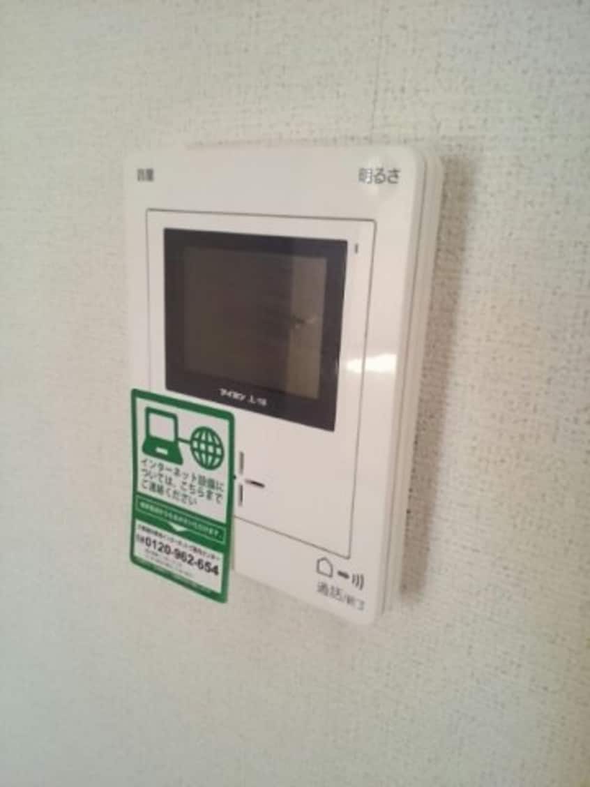  エバ－グリ－ン