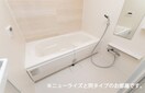 ラフィーネ・ヴィシン