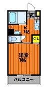 中島　STELLA　BASE 1Kの間取り