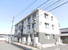 オリーブの外観