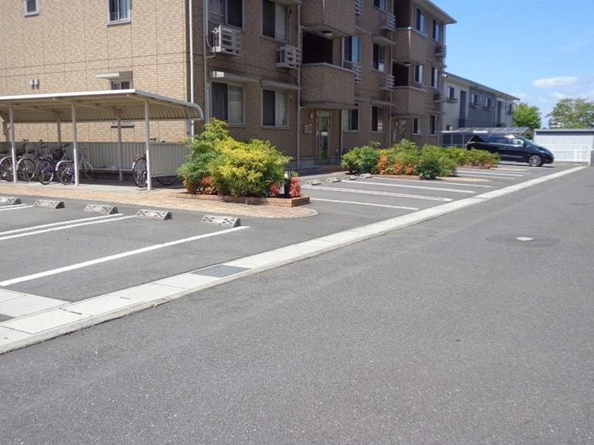  グリーンコスミオン