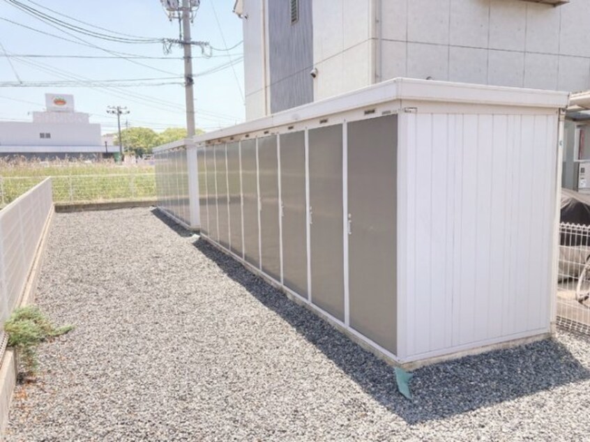  グリーンコスミオン