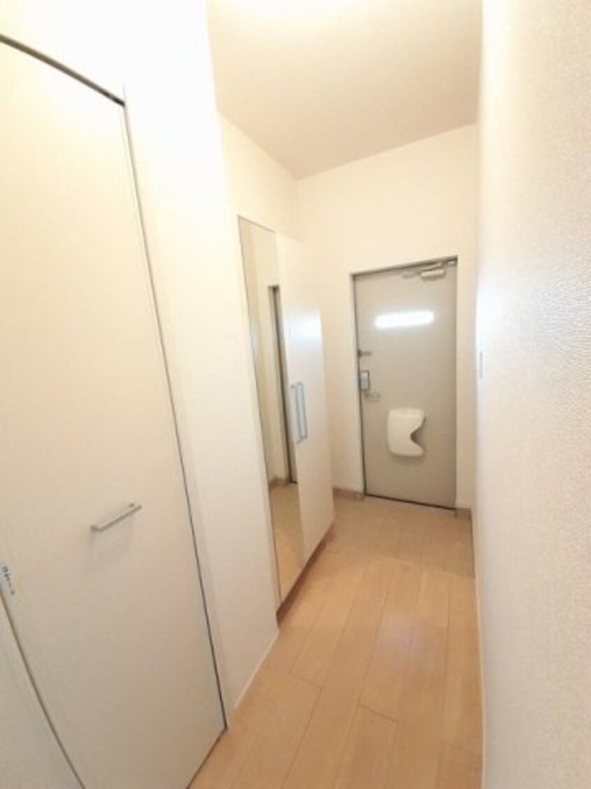  プラシード・Ｔ