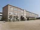 倉敷市立富田小学校(小学校)まで803m アゴーラ　Ａ棟