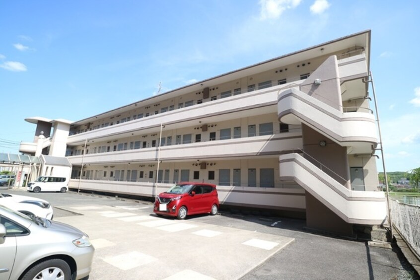  サンライズブルー