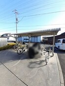  アンスリールＢ