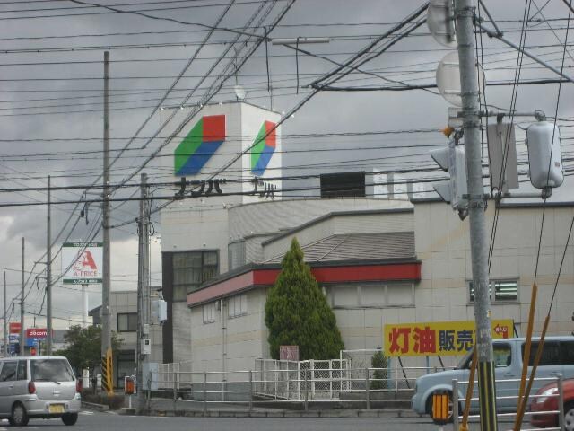 ホームセンター　ナンバまで350ｍ ウィステリア