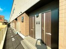  タラッサ